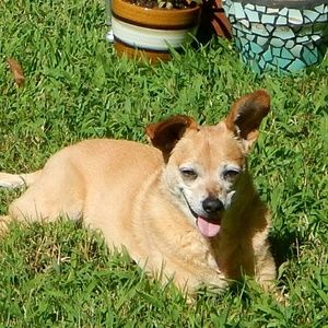 Meet your Posher, Mandy